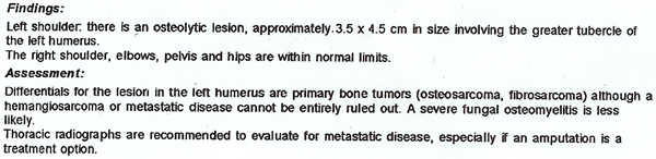 Radiology Report - 8/25