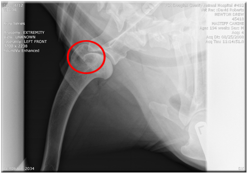 Newton's X-Ray 8/25